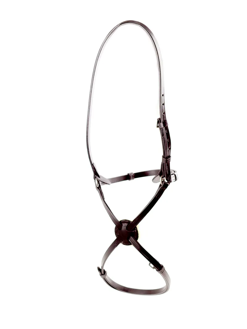 Dever Ascot High Ring Grackle Noseband Brown